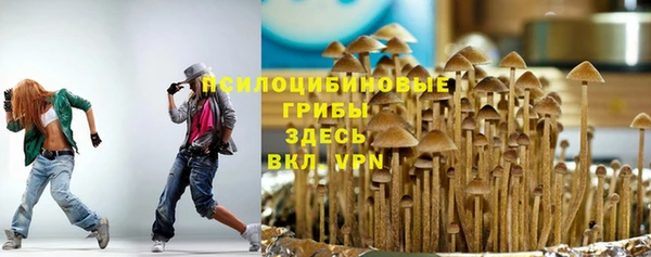 apvp Абаза