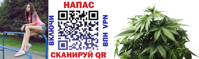 ссылка на мегу ссылки  Новая Ладога  Бошки марихуана THC 21% 